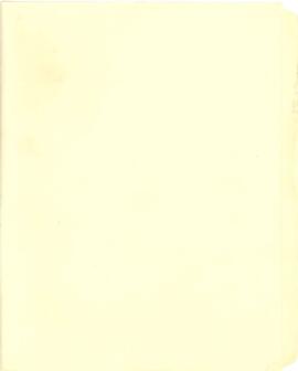 Antoine Schwartz - SSI Informal Sector - Reports and Studies